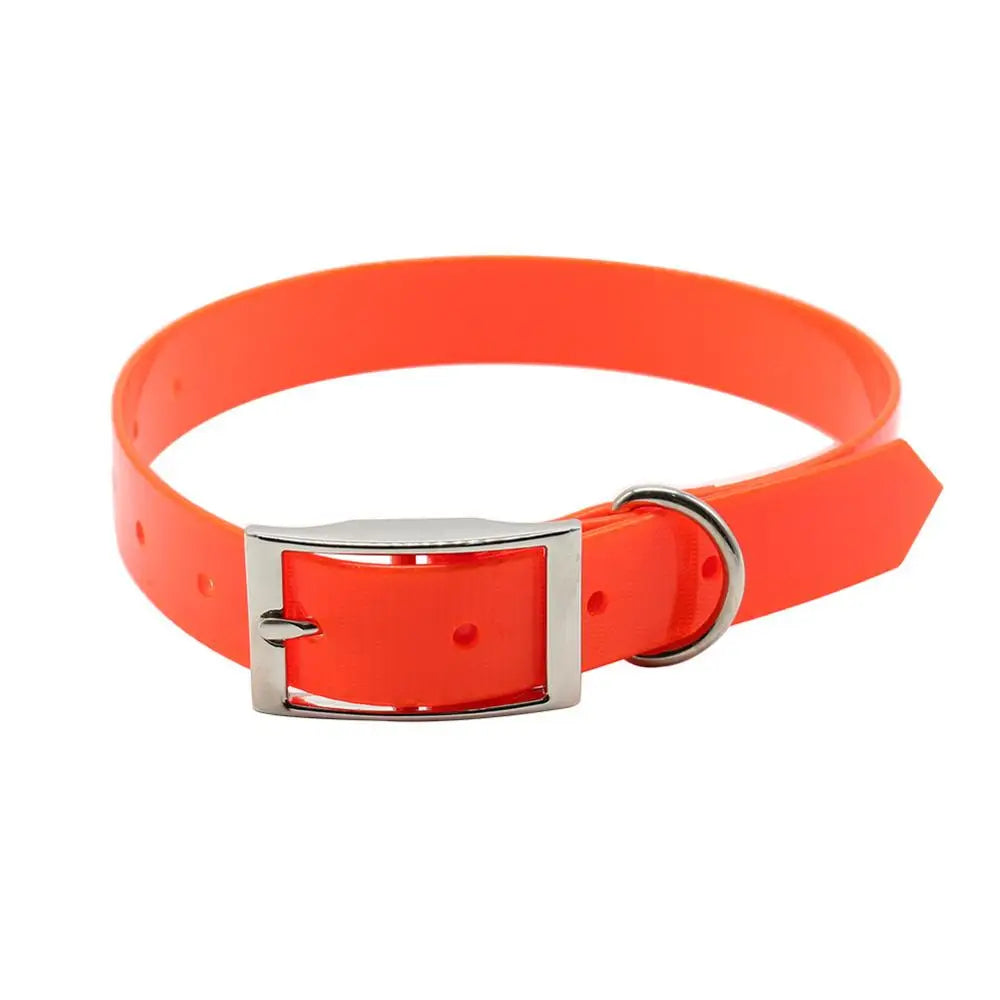 Nylon Collars